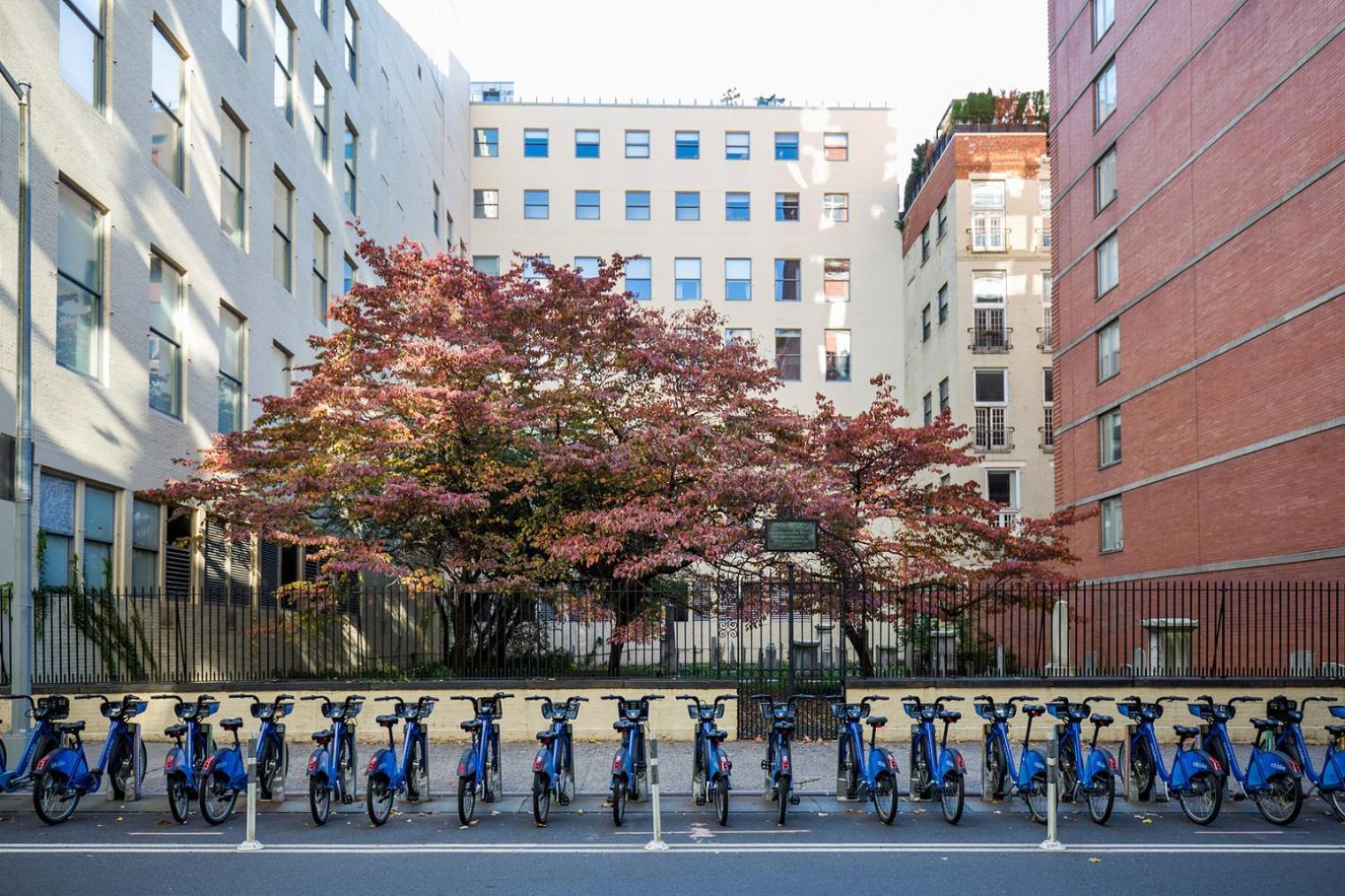 Chelsea 1br W Doorman Gym Nr Union Square Nyc-1224 Apartment